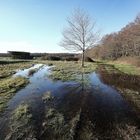 le chemin inondé !