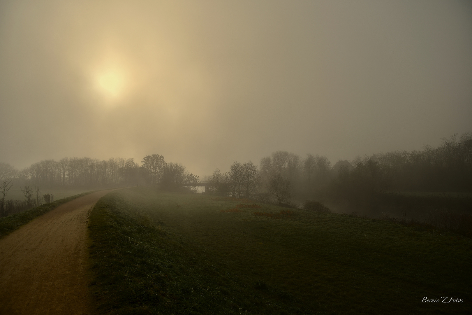 Le chemin vers la lumière 