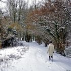 Le chemin vers le ruisseau