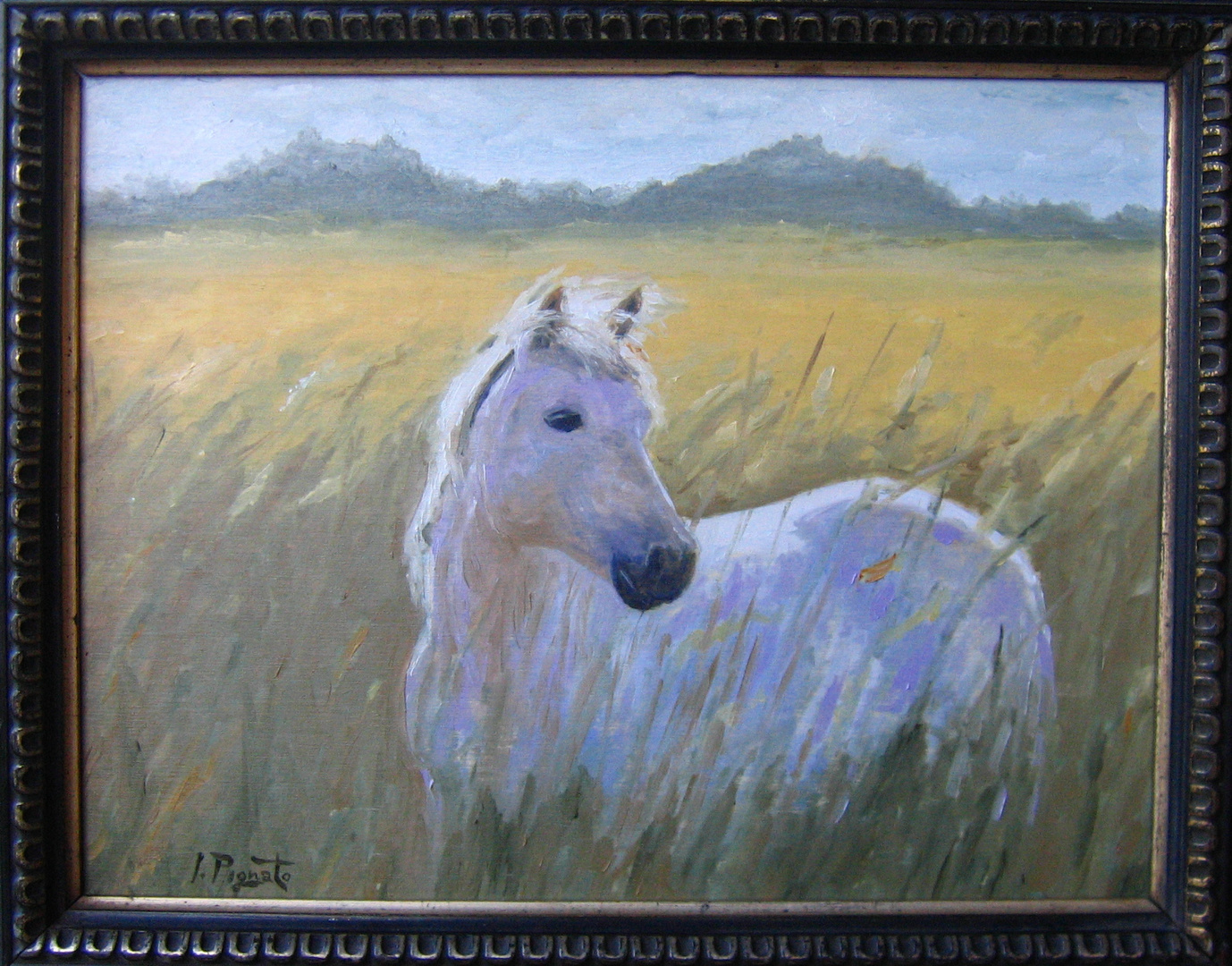 "Le cheval dans la prairie"