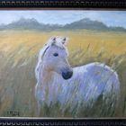 "Le cheval dans la prairie"