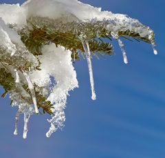 Le cheval de glace