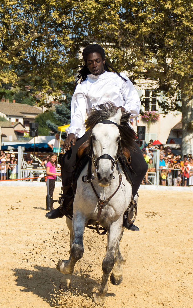 le cheval et son cavalier