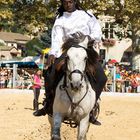 le cheval et son cavalier