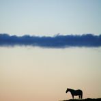 Le cheval qui murmurait à la lueur du soleil