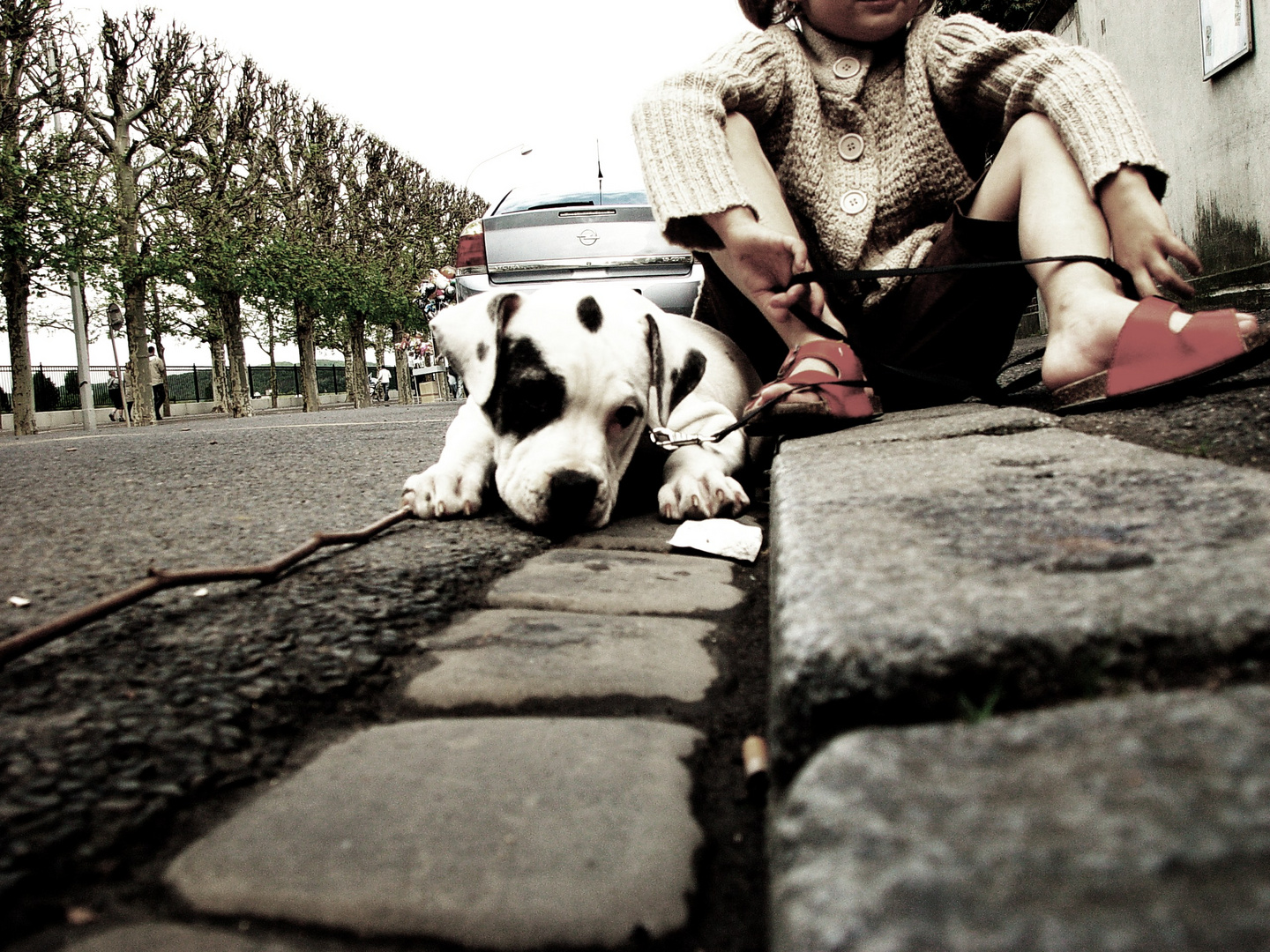 Le chien apprend a l' enfant la fidélité et la persévérance.