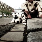 Le chien apprend a l' enfant la fidélité et la persévérance.