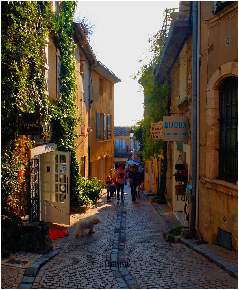 Le chien de la ruelle