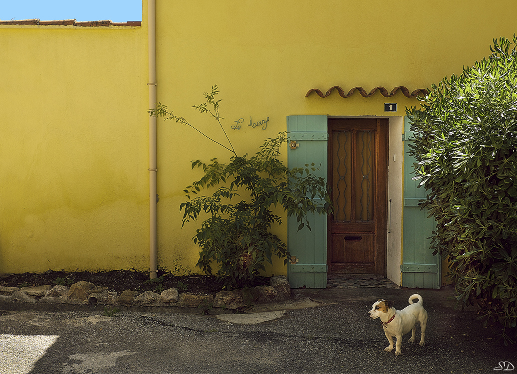 Le chien devant la porte .