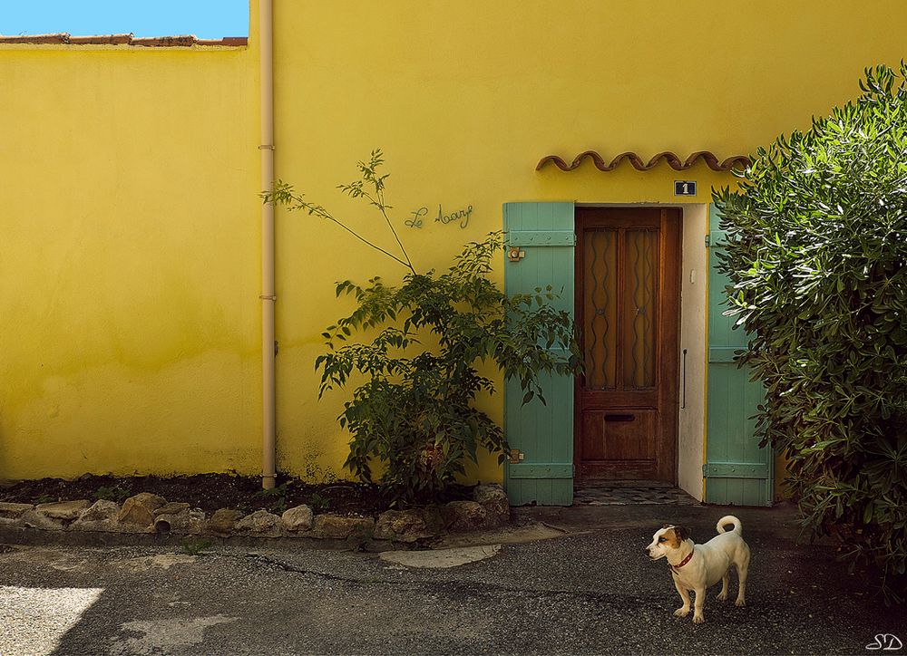 Le chien devant la porte .