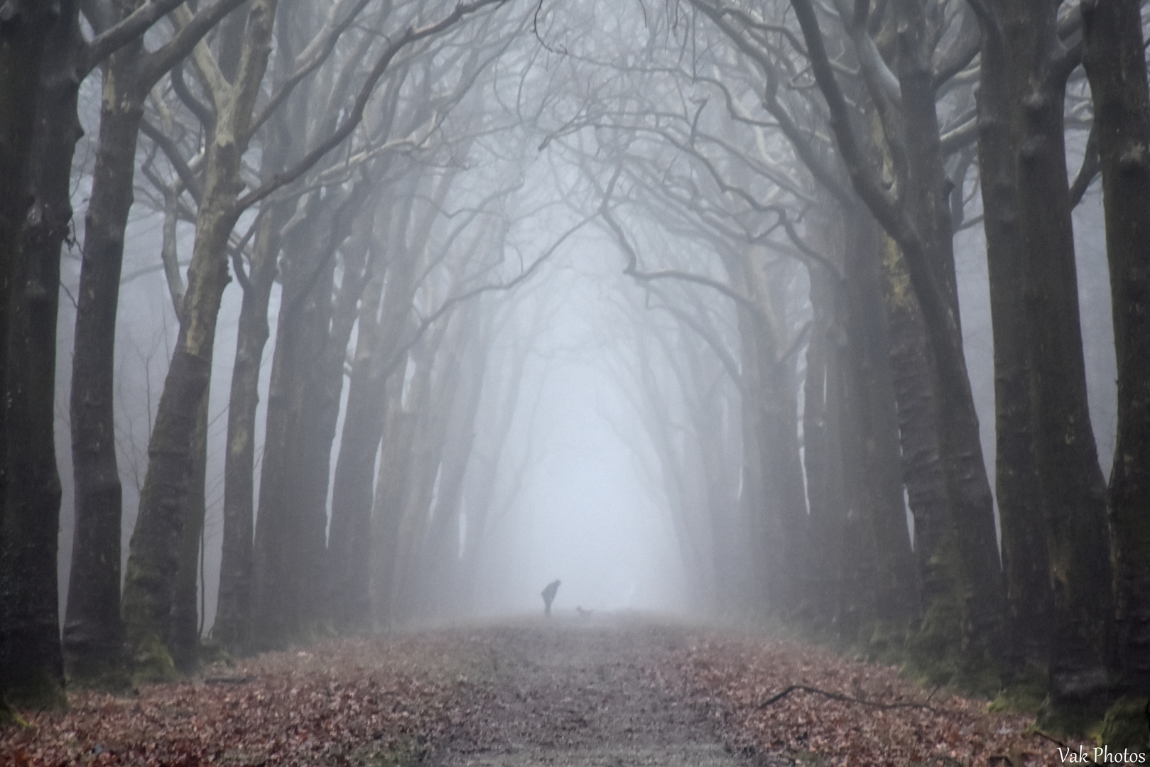 Le chien et son maître