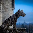 Le chien Garde le Logis Royal