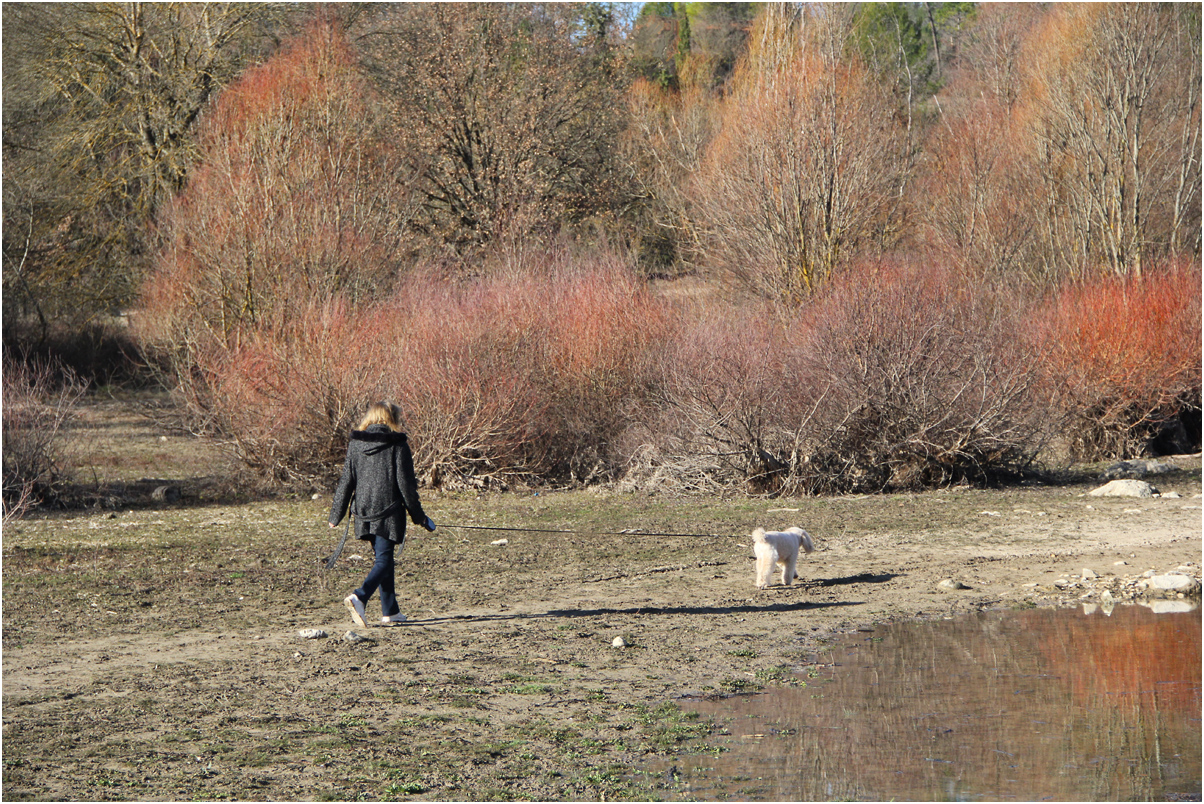 "...le chien lui i' s'en fout ..."