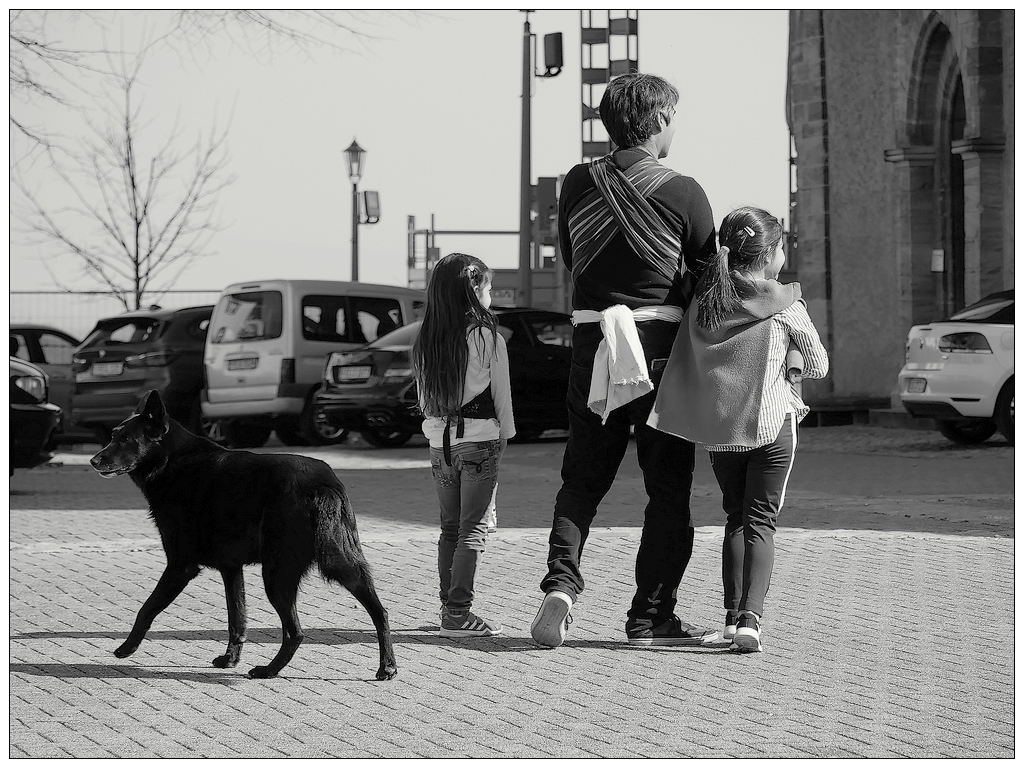 le chien protecteur