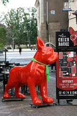 Le chien rouge 