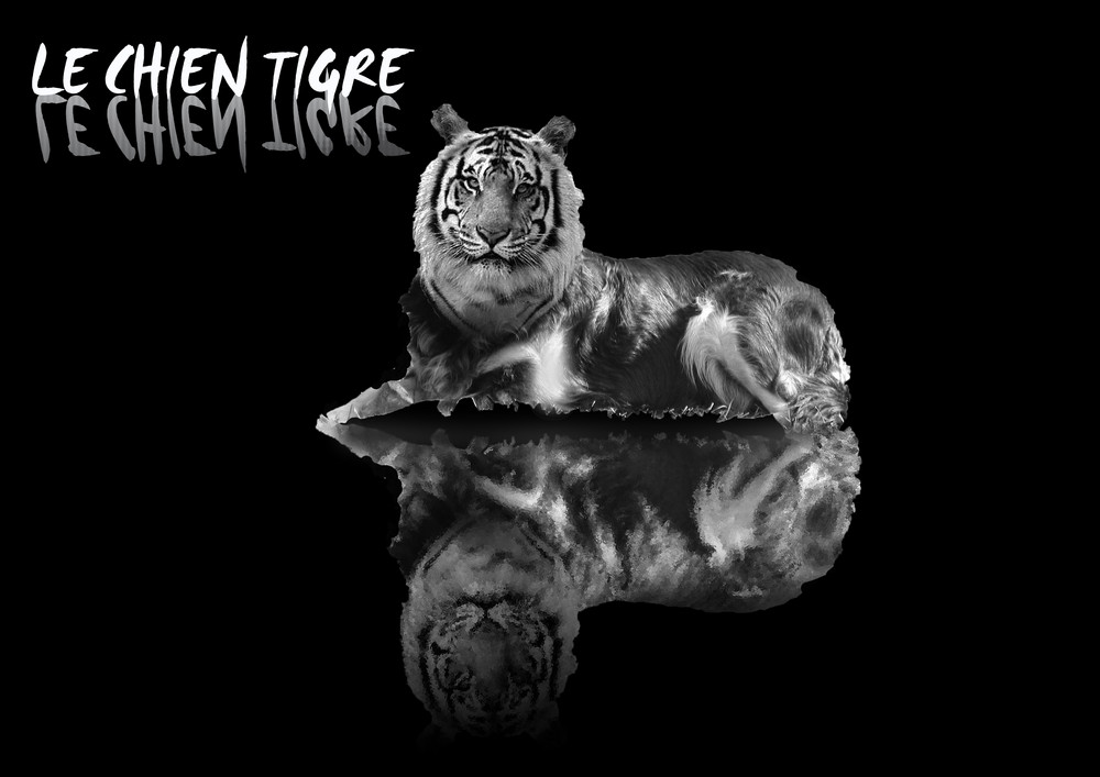 le chien tigre