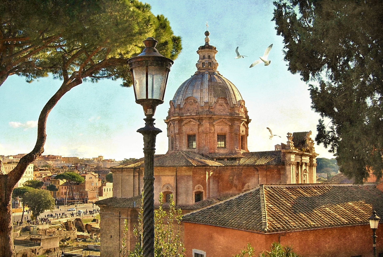 Le Chiese di Roma: "Santi Luca e Martina"