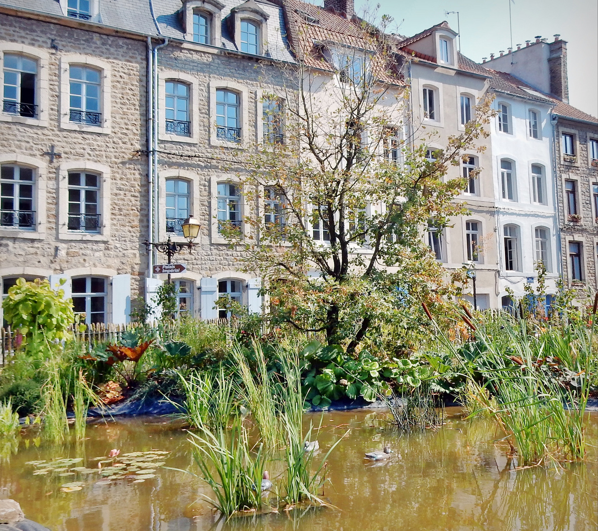 Le chêne et le roseau