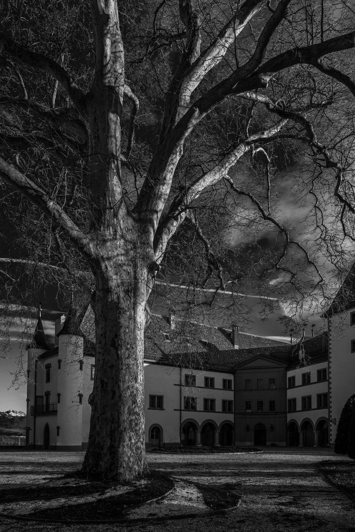 Le Château d'Allamand, Canton de Vaud.