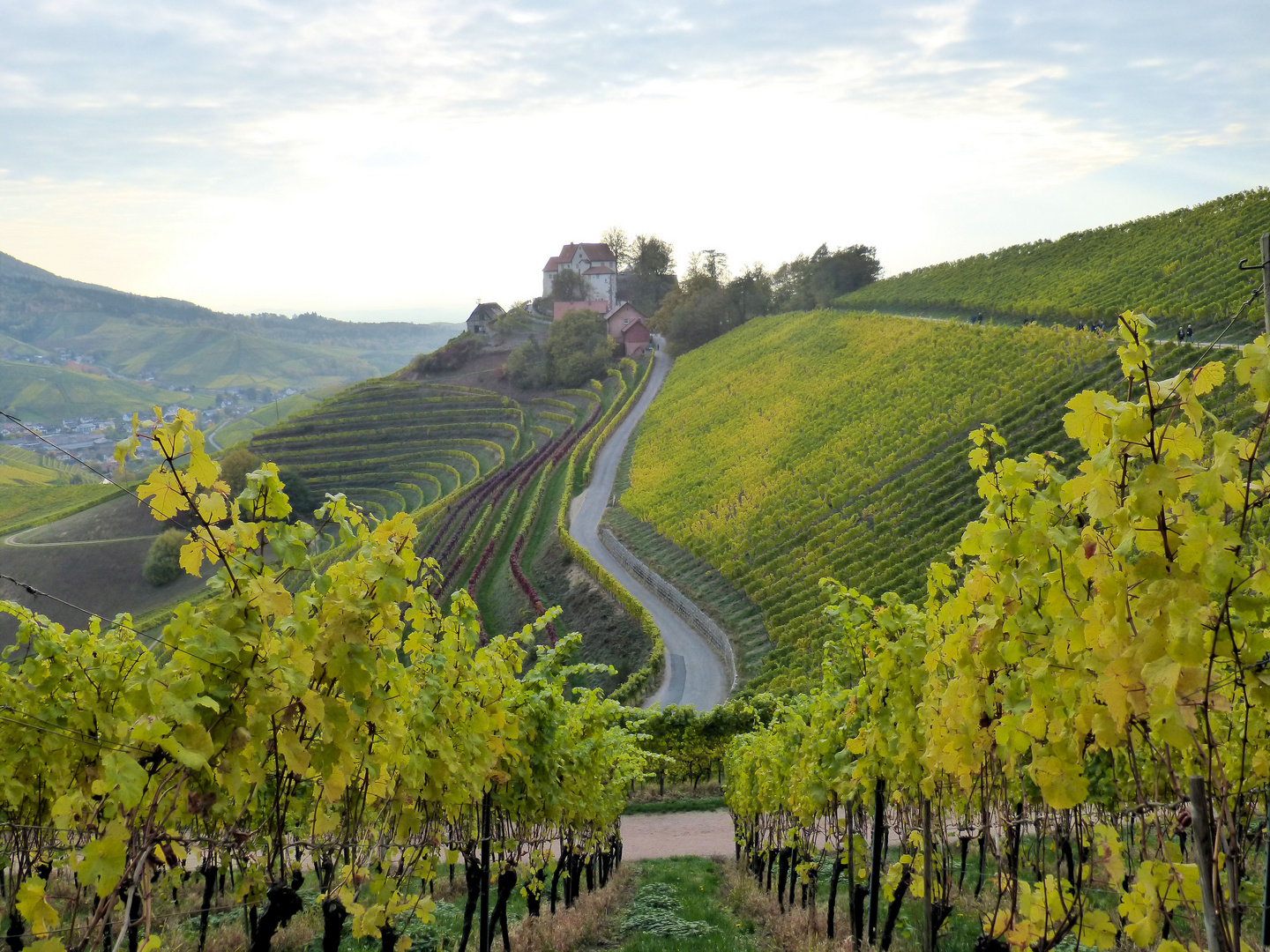 le château dans les vignes