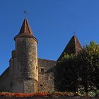 Le Château de Béraut  --  Gers