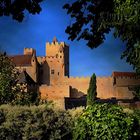 Le château de Beynac / Dordogne