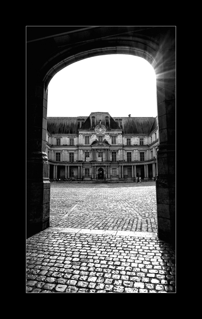 Le château de Blois