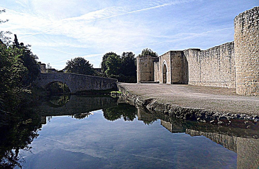 Le château de Brie-Comte-Robert