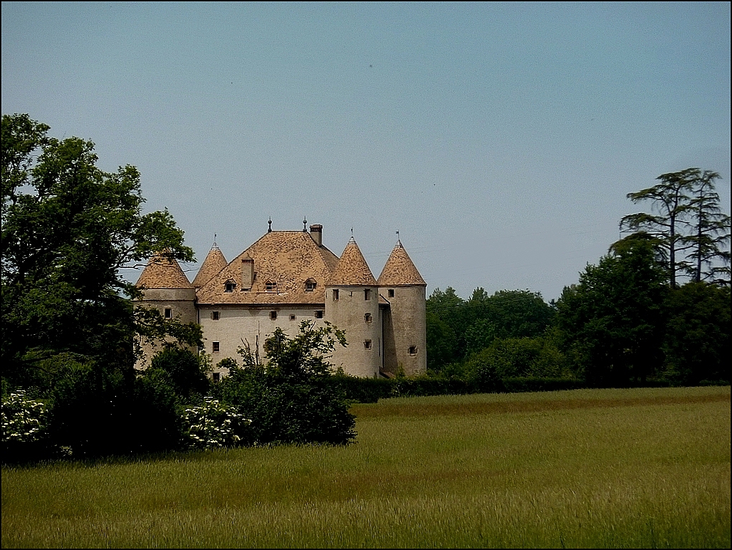 Le château de Buffavent ( près de Lully -74 )