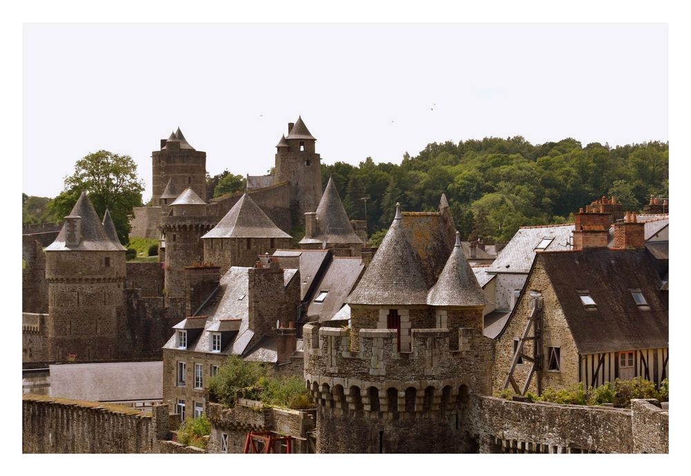 le château de fougères