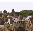 le château de fougères