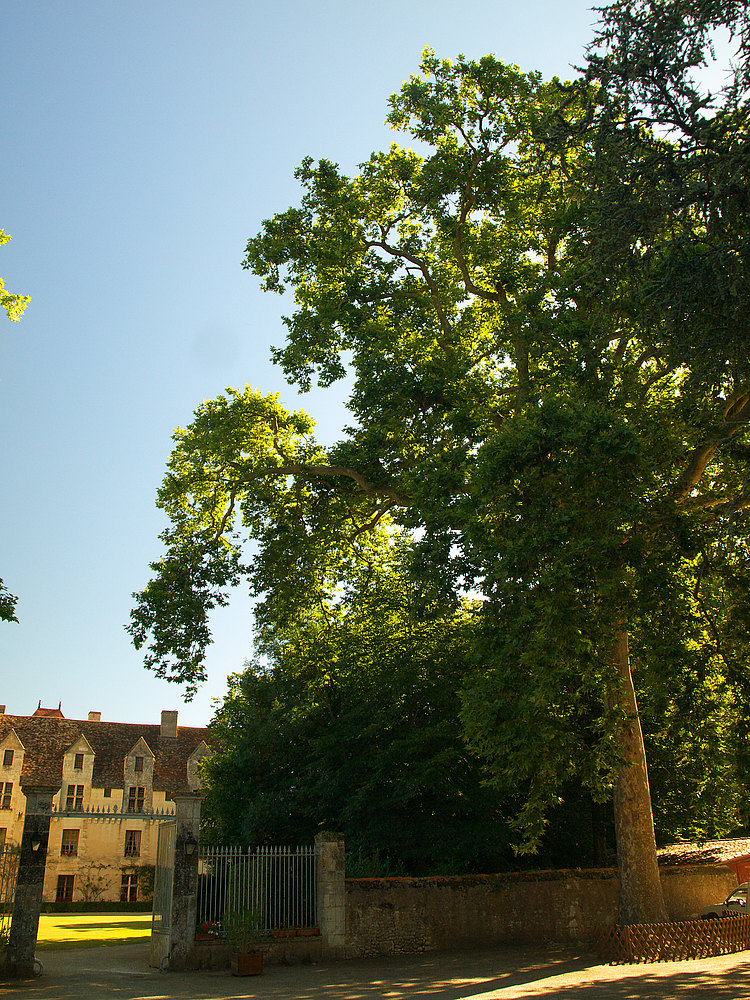 - Le Château de Neuvic ou le Château de Mellet II -