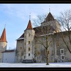 Le château de Nidau