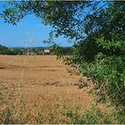 Le Château de Peyrac au milieu des champs de blé