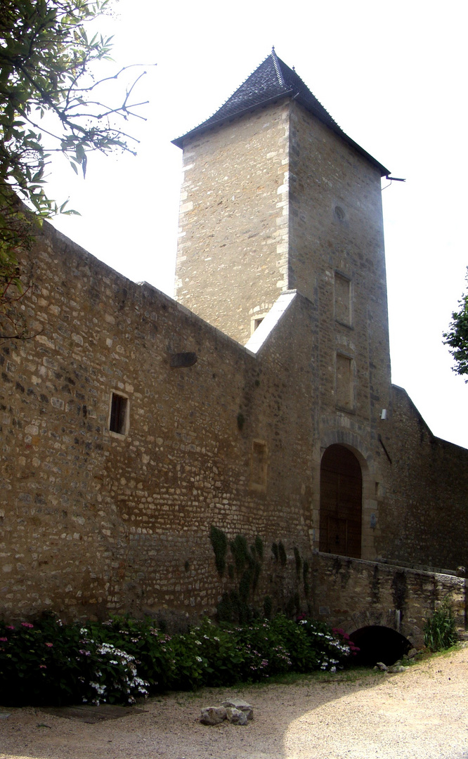 Le Château de Saint Bernard (2)