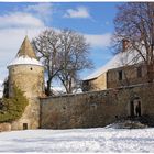 Le château de Saint-Léger les-Mélèzes
