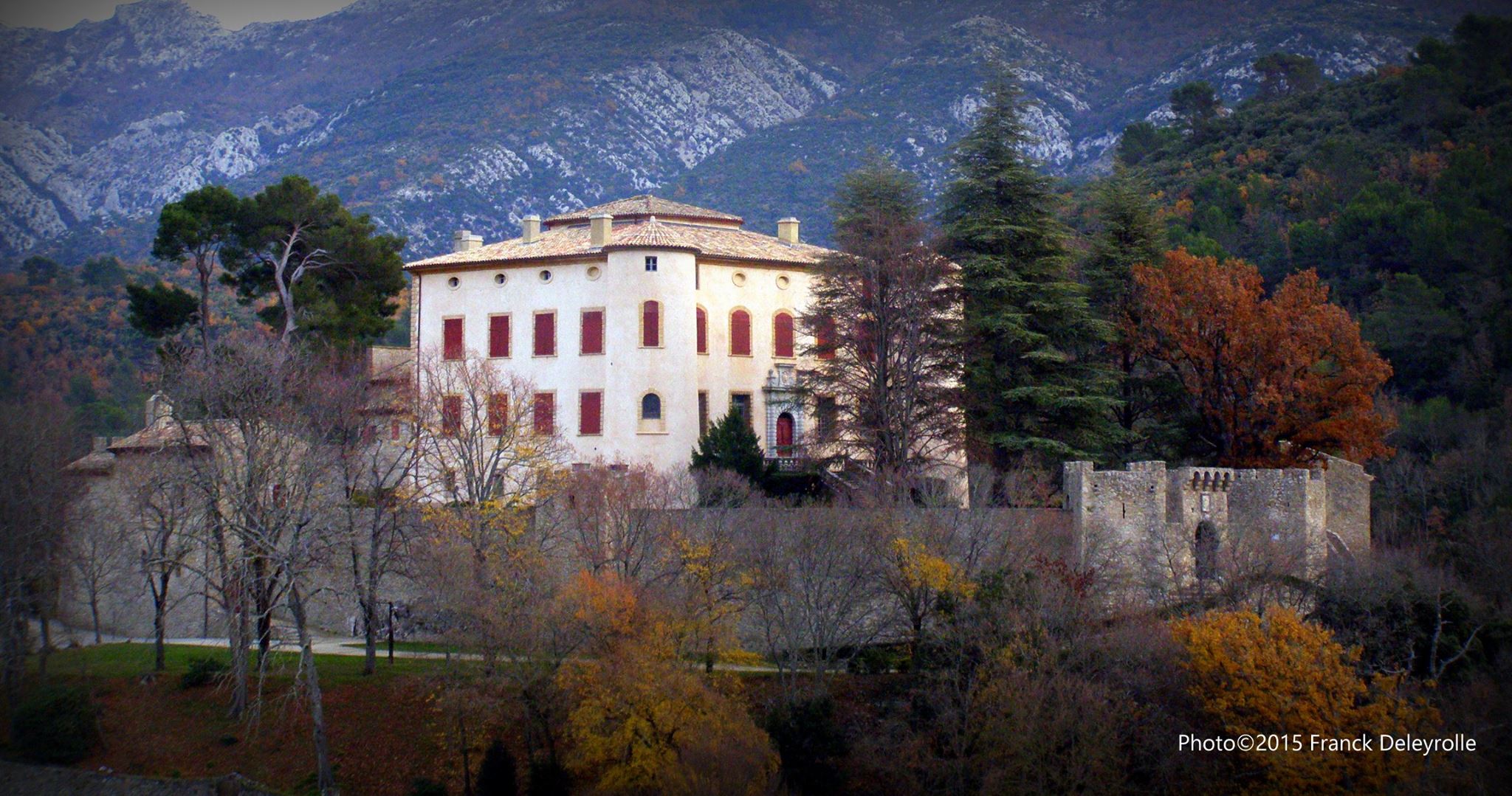 Le château de Vauvenargues