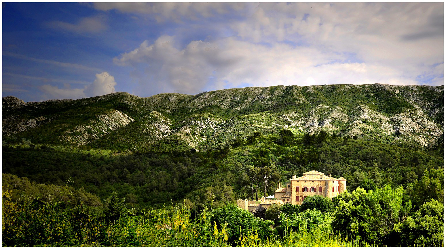 le château de Vauvenargues