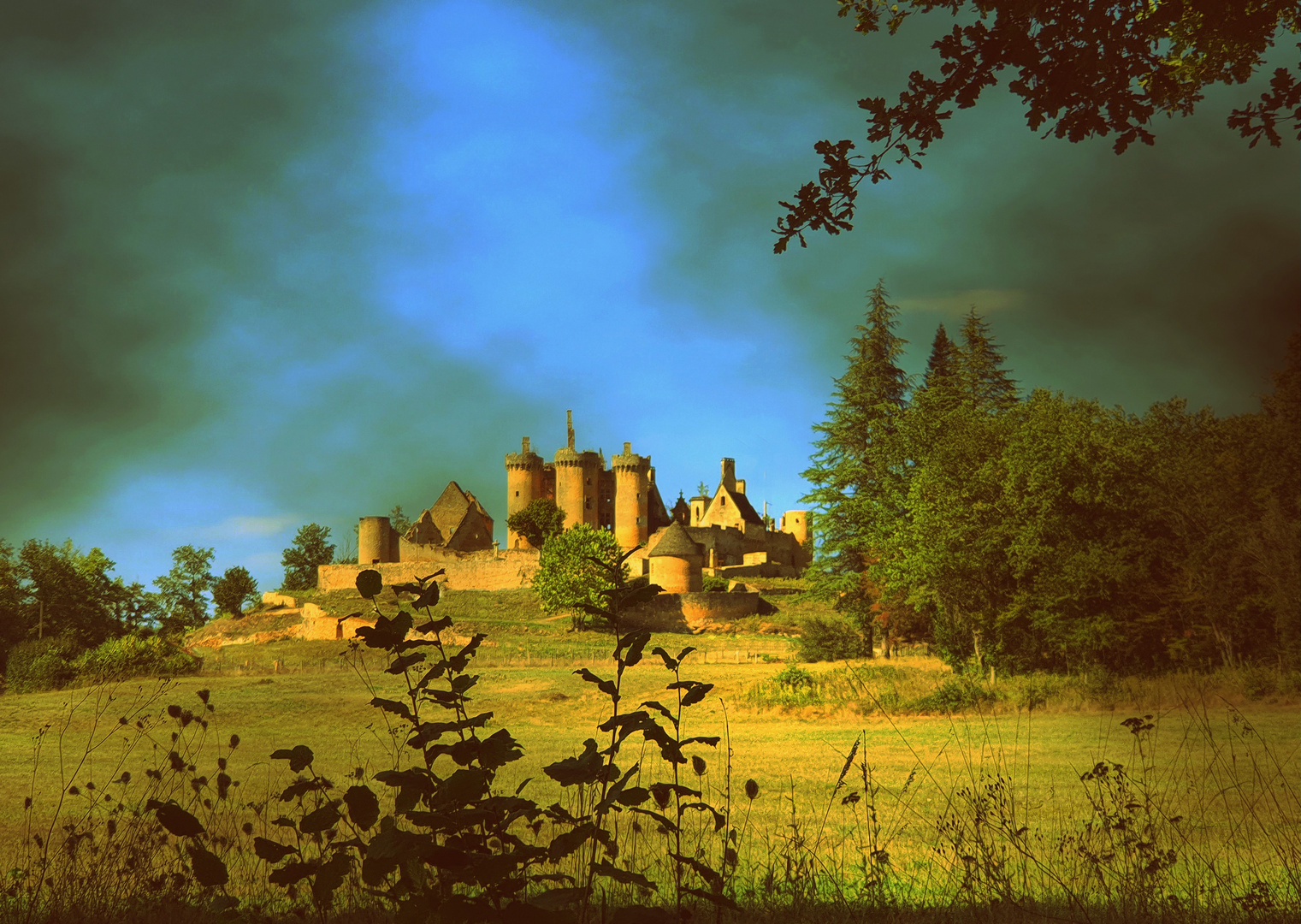  Le château du PALUEL / Dordogne / Périgord 