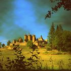  Le château du PALUEL / Dordogne / Périgord 