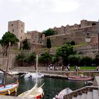 le Château Royal de Collioure (66)