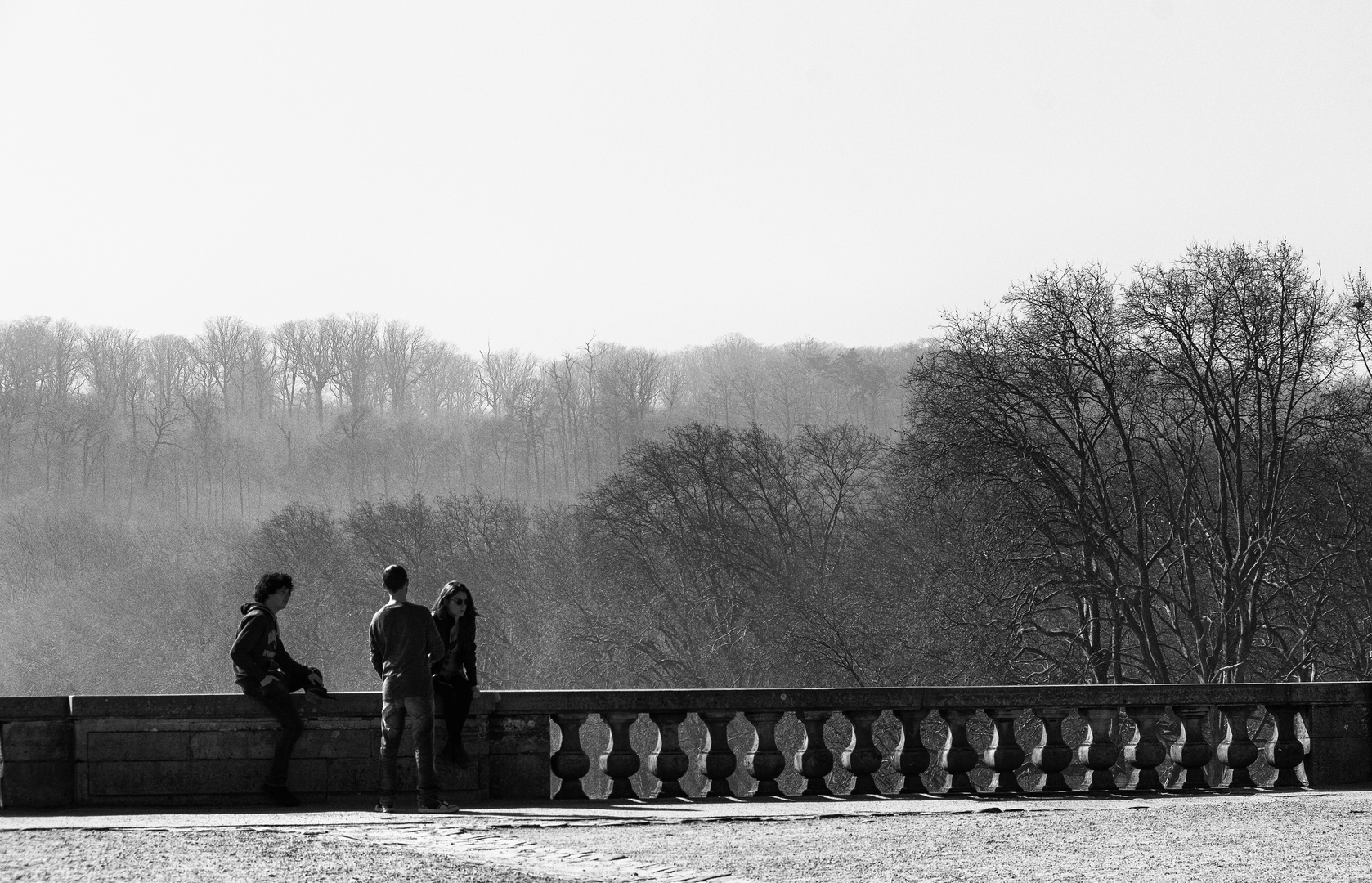 Le château se réveille . 