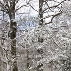 le ciel a tondu ses moutons blancs