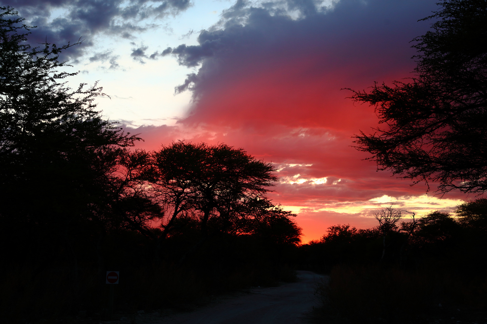 LE CIEL D'ETOSHA