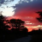 LE CIEL D'ETOSHA