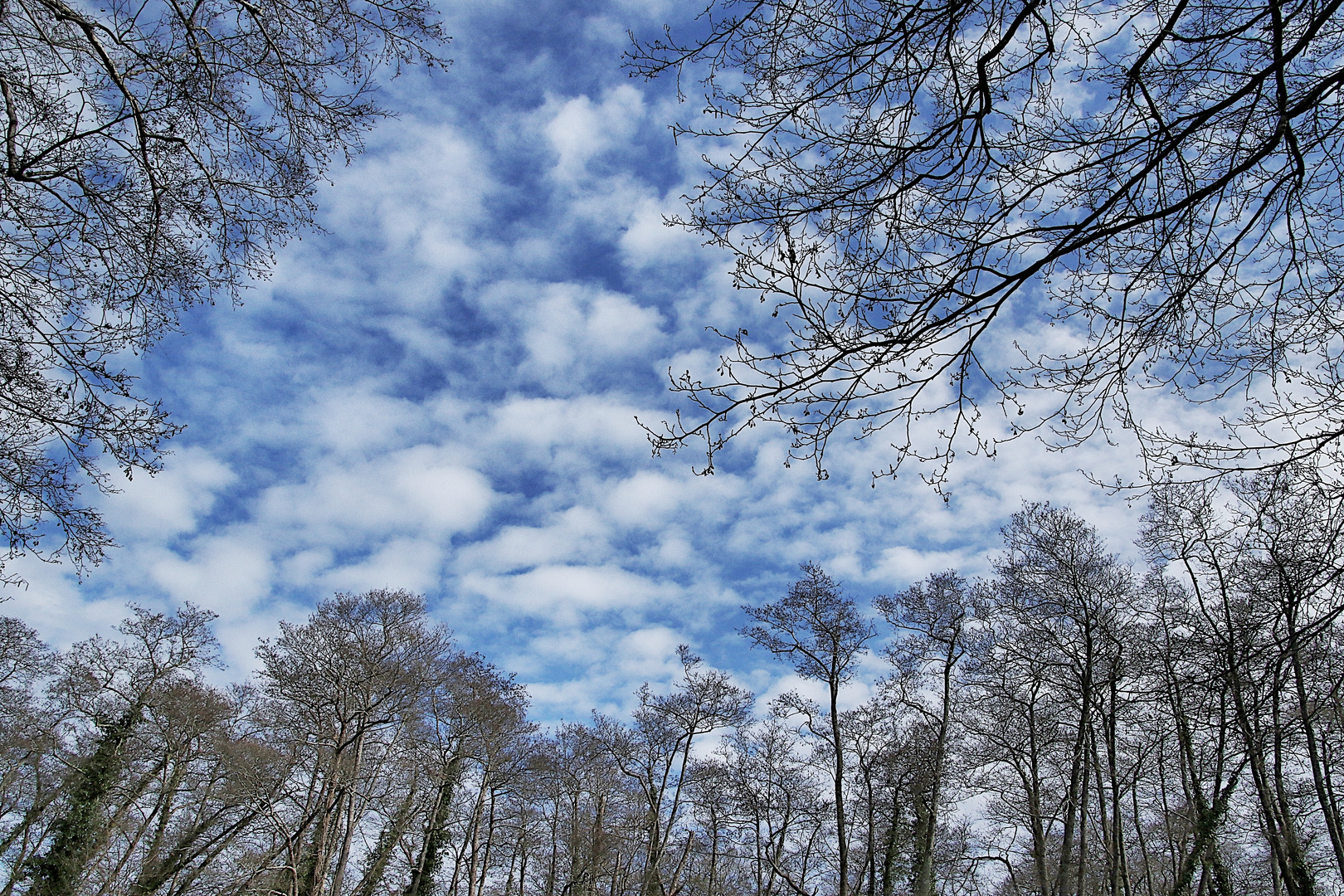 le ciel en bleu et blanc !