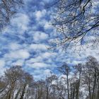 le ciel en bleu et blanc !