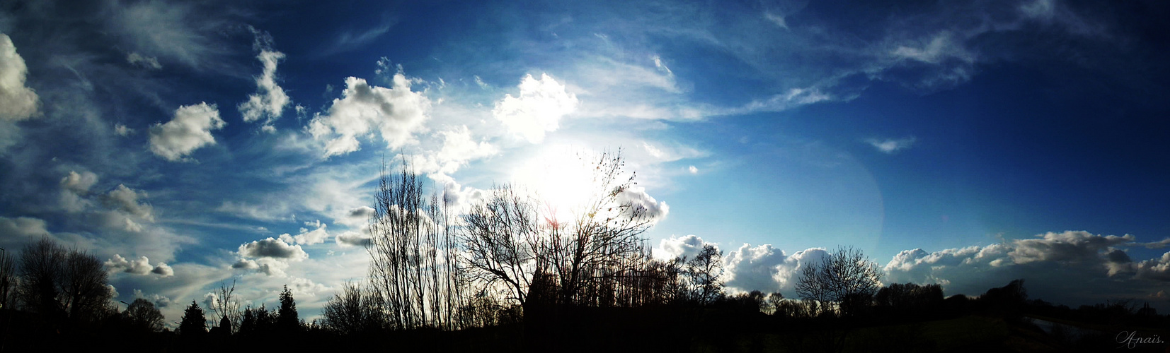 « Le ciel est le pain quotidien des yeux.  »