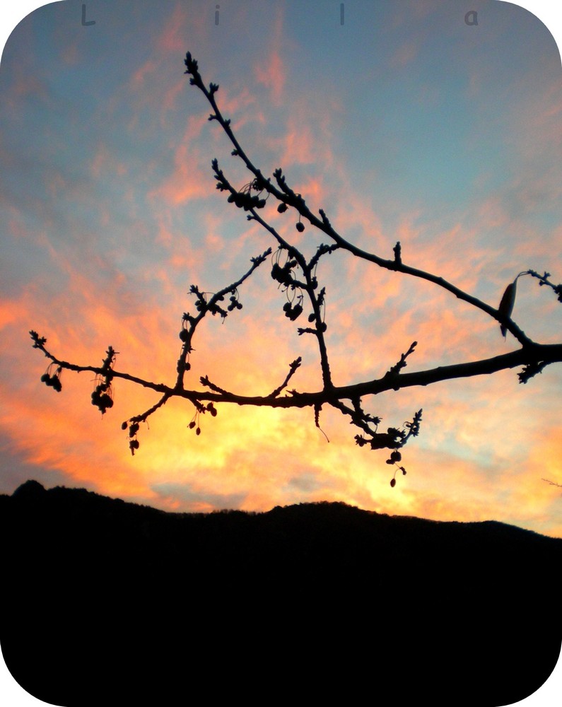 "Le ciel s'est déguisé ce soir, il est content" (mot d'enfant)