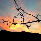 "Le ciel s'est déguisé ce soir, il est content" (mot d'enfant)